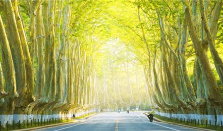 Tour Trung Quốc 5N5Đ: HCM - Thượng Hải - Free Day - Ô Trấn - Nam Kinh - No Shopping