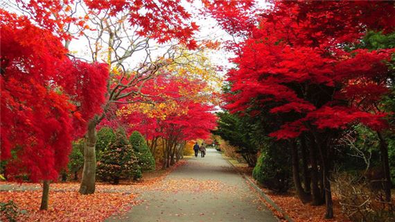 Trung tâm Hiraoka Jugei.