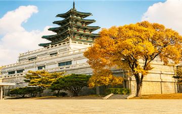Tour Hàn Quốc 4N4Đ: HCM - Seoul - Đảo Nami - Công Viên Everland Mùa Thu