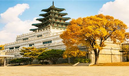 Tour Hàn Quốc 6N5Đ: Hà Nội - Busan - Seoul - Đảo Nami - Incheon - Đi Phà Cho Hải Âu Ăn