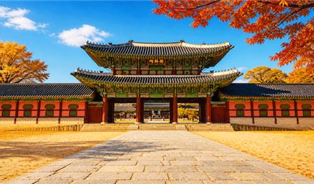 Tour Hàn Quốc 6N5Đ: Hà Nội - Busan - Gyeongju - Seoul - Đảo Nami - Cỏ Hồng Muhly