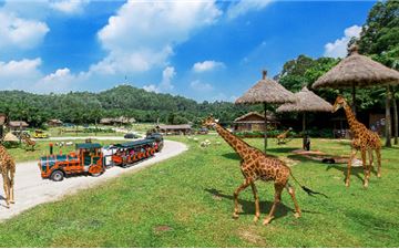 Tour Trung Quốc 4N3Đ: HCM - Thẩm Quyến - Quảng Châu - Safari Trường Long - No Shopping