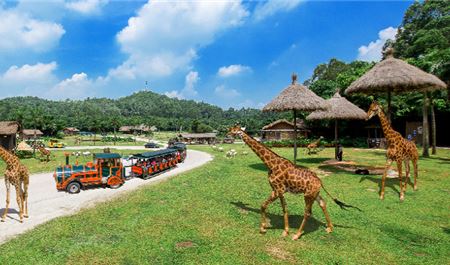 Tour Trung Quốc 4N3Đ: HCM - Thẩm Quyến - Quảng Châu - Safari Trường Long - Free Day - No Shopping