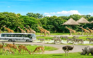Tour Thái Lan 5N4Đ: HCM - Bangkok - Pattaya - Safari World