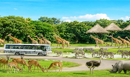 Tour Thái Lan 5N4Đ: HCM - Bangkok - Pattaya - Safari World