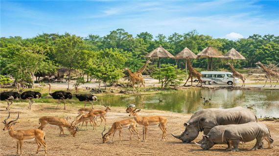 Safari World