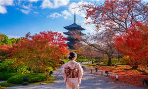 Trải nghiệm mặc trang phục truyền thống Kimono