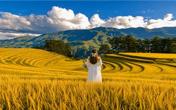 Tour Tây Bắc 3N2Đ: Hà Nội - Mù Cang Chải Mùa Lúa - Trạm Tấu - Suối Giàng