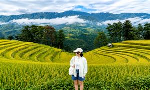 Đồi Móng Ngựa.