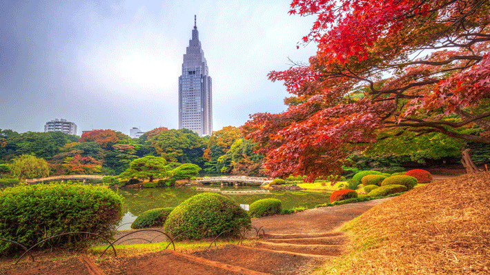 Nhật Bản 6N5Đ: Hà Nội – Osaka – Công Viên Nara – Kyoto – Phú Sĩ – Tokyo