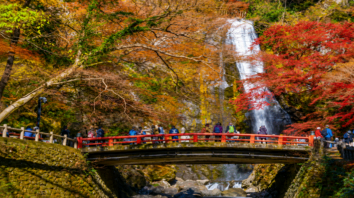 Nhật Bản 5N5Đ: HCM – Osaka – Kyoto – Núi Phú Sĩ – Tokyo – Mùa Thu