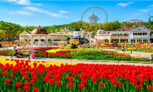 Công viên Everland.